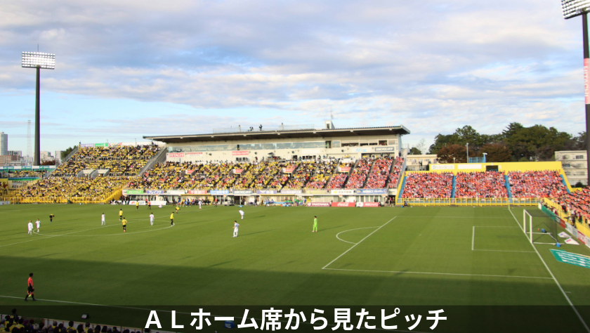 スタンドから見たピッチ