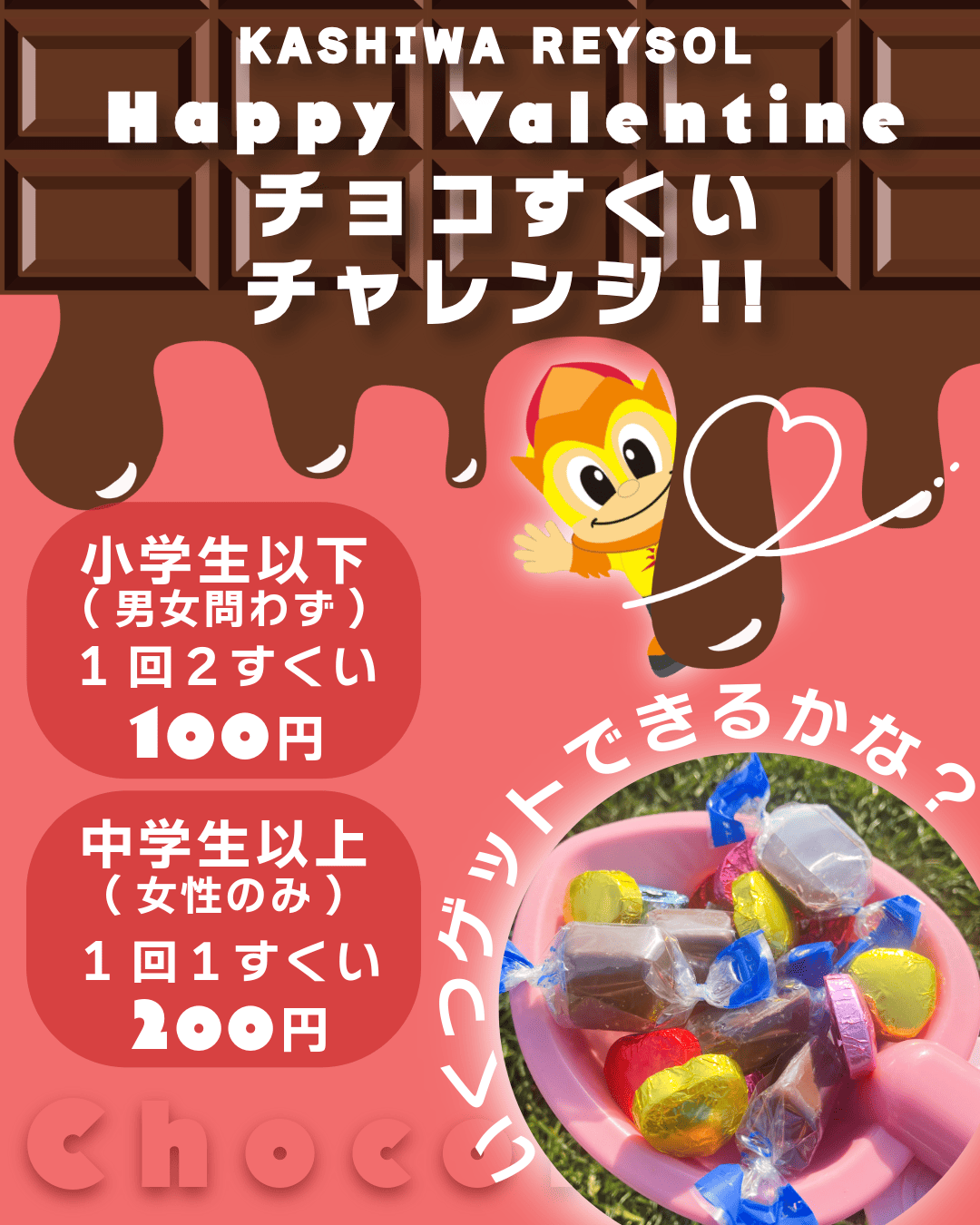 20260215_choco.png