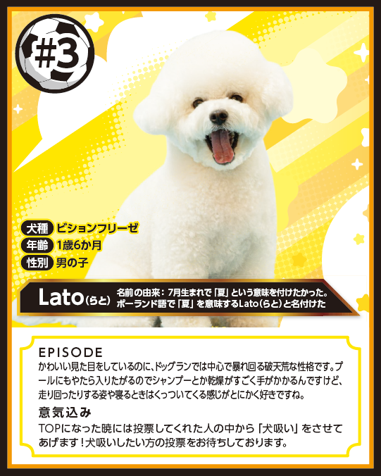 20260428_dog_llato.png