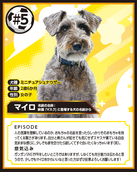 20260428_dog_mailo.png