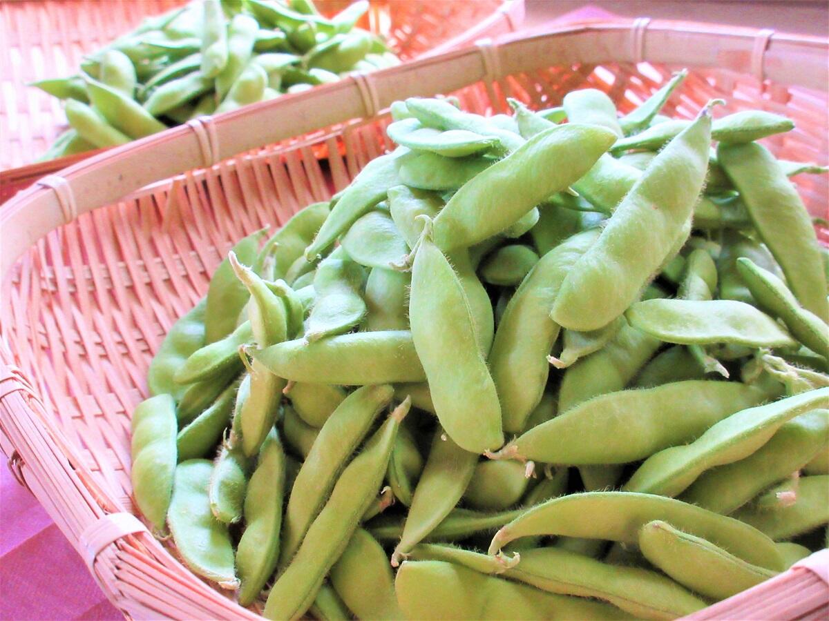 230708_4edamame.JPG