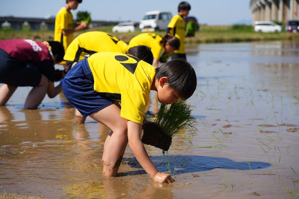 260505_taue2.JPG